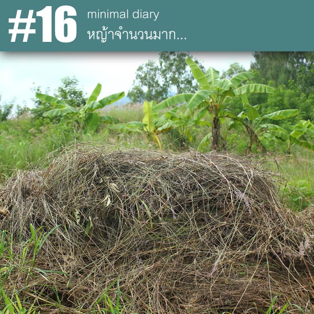 My Image 26