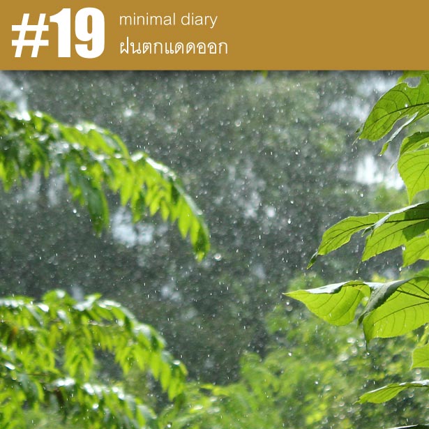 diary-0019-ฝนตกแดดออก