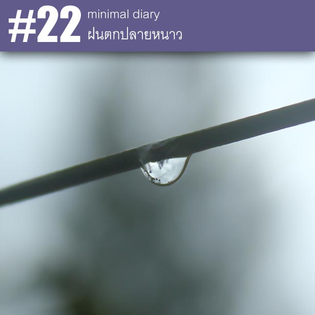diary-0022-ฝนตกปลายหนาว
